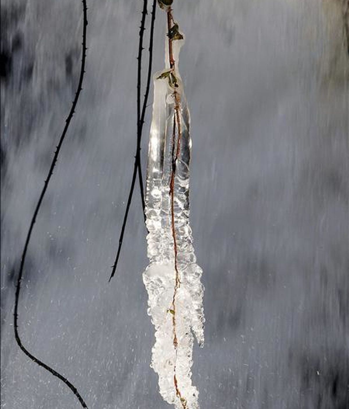 Carámbano de hielo cerca del río Arga, en Navarra. la pasada semana. EFE