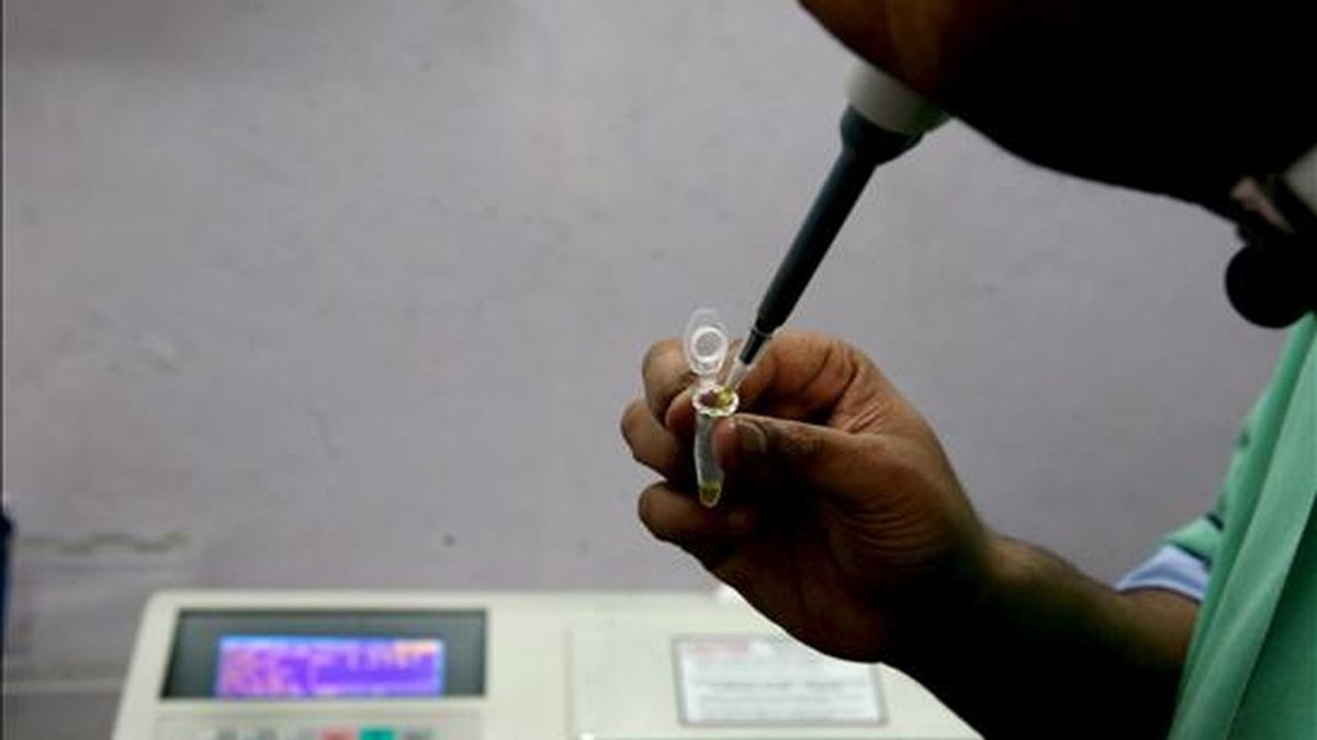 Un técnico prepara una muestra de sangre para su posterior análisis en el departamento de histopatología del Centro de Investigación del Cáncer Netaji Subhas Bose en Calcuta (India)en Calcuta (India). EFE/Archivo