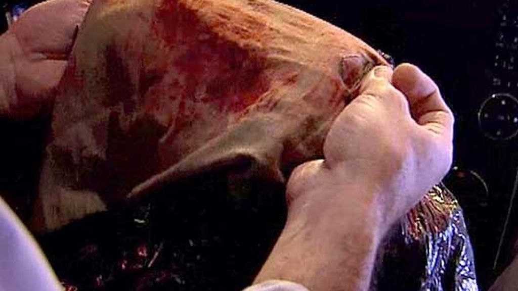 Cata descubierta por La Roca y Jessi