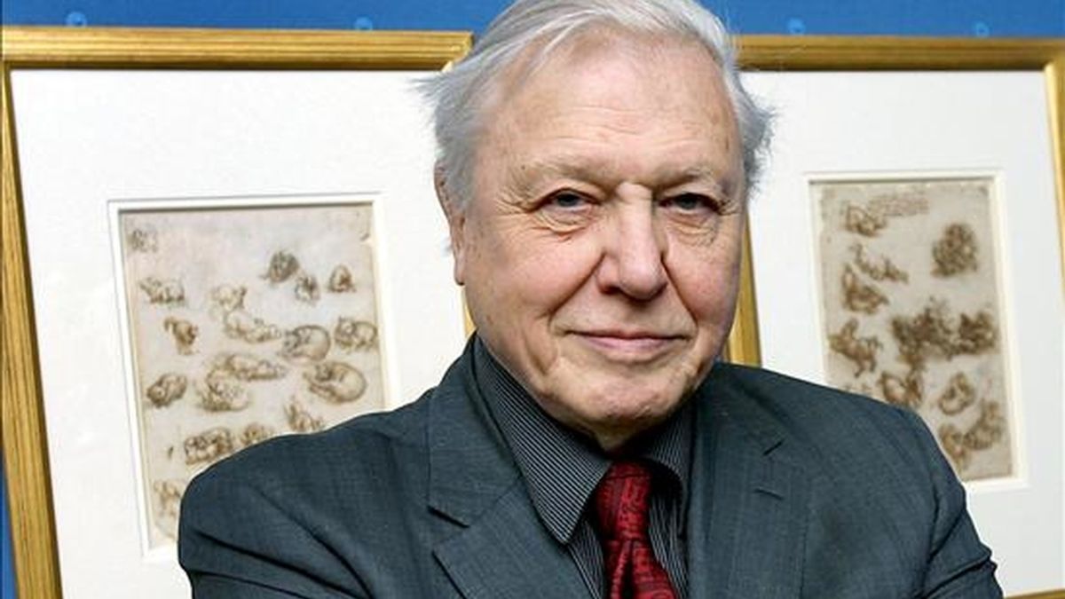 Fotografía de archivo, tomada el 13 de marzo de 2008, del naturalista británico David Frederik Attenborough, quien ha sido galardonado hoy con el Premio Príncipe de Asturias de Ciencias Sociales 2009, han informado a Efe fuentes de la Fundación que concede los galardones. EFE/Archivo