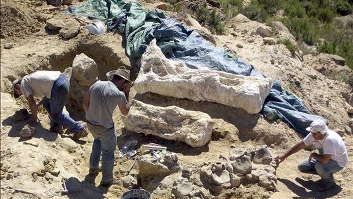 Paleontólogos de la Fundación Conjunto Paleontológico de Teruel-Dinópolis han descubierto un nuevo dinosaurio gigante en Riodeva. EFE