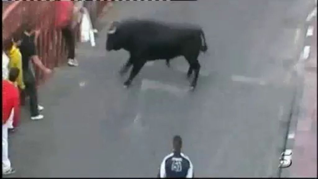 Otro toro se escapa