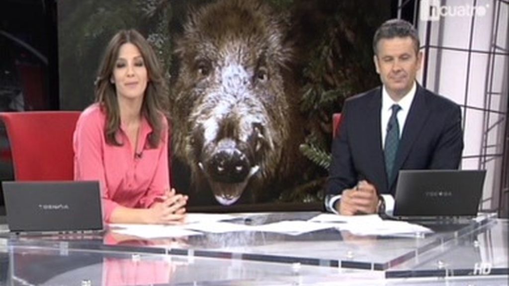 Noticias Noche 20.00