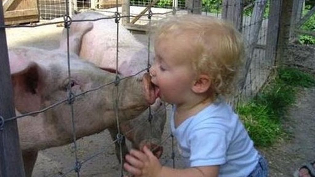 Maltratados por sus pequeños amos