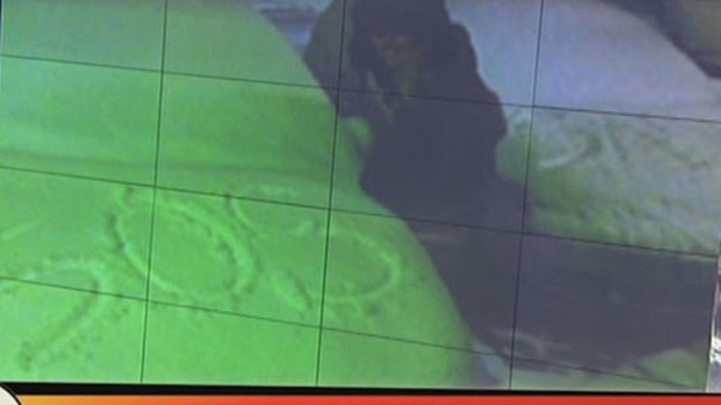 Adriana de las nieves