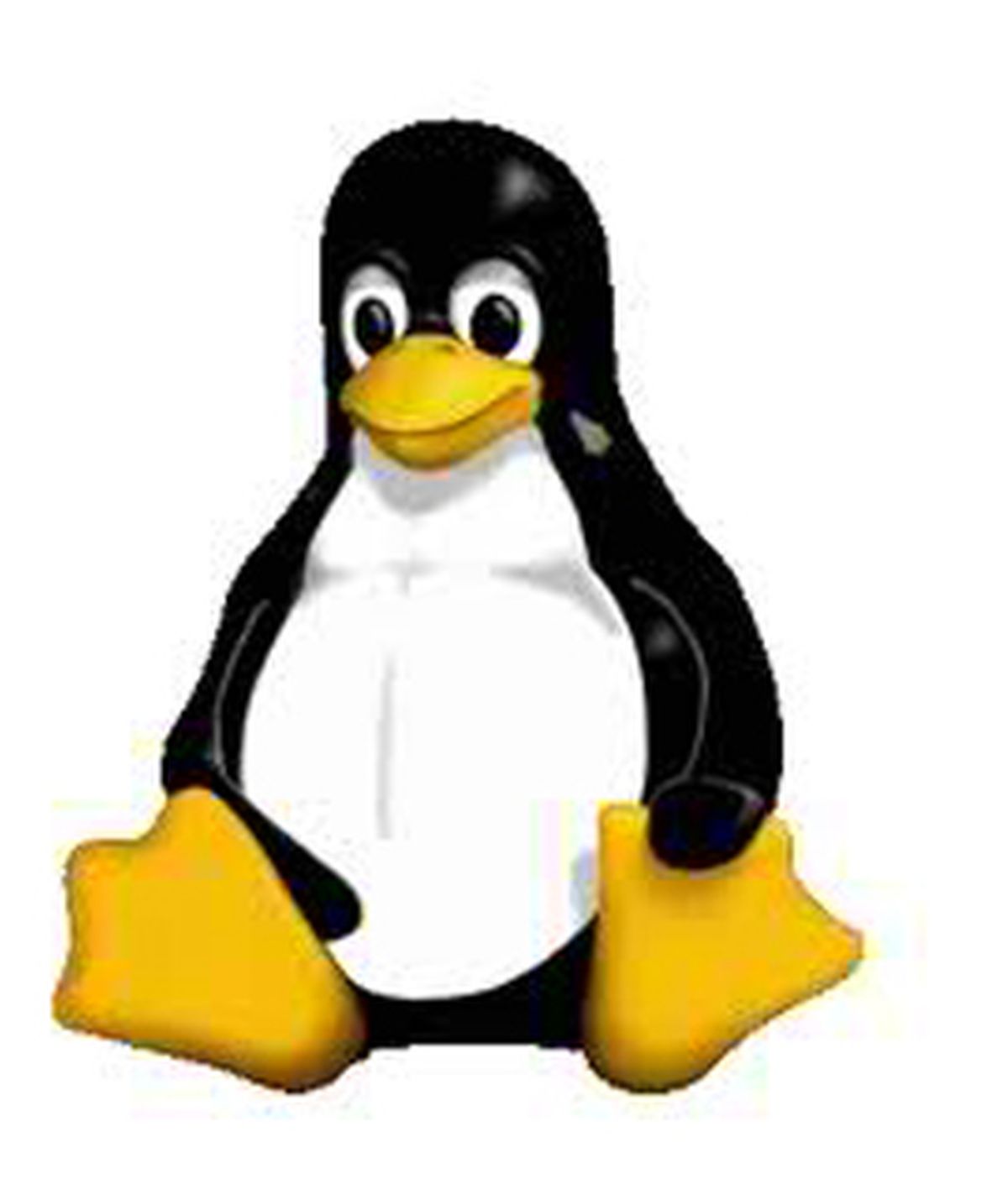 Linux nació en 1991 como un programa de código abierto, gratis y que cualquier programador podía retocar y modificar a su antojo.