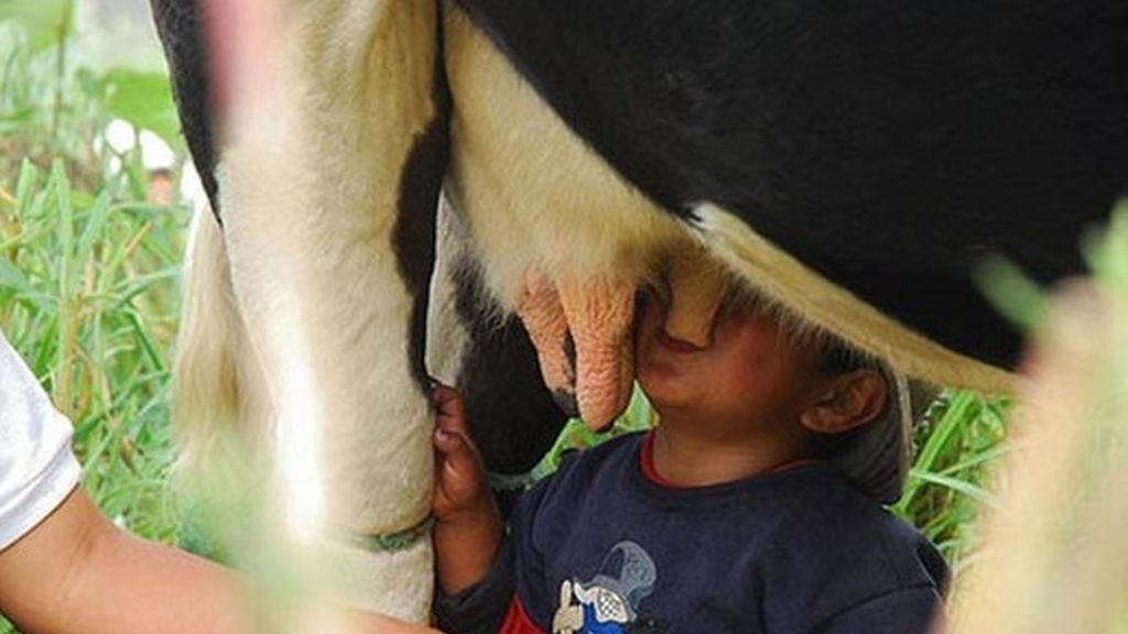 Maltratados por sus pequeños amos