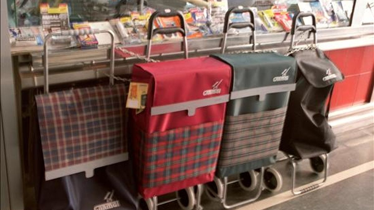 Carritos de la compra expuestos en una tienda de  un mercado madrileño. EFE/Archivo