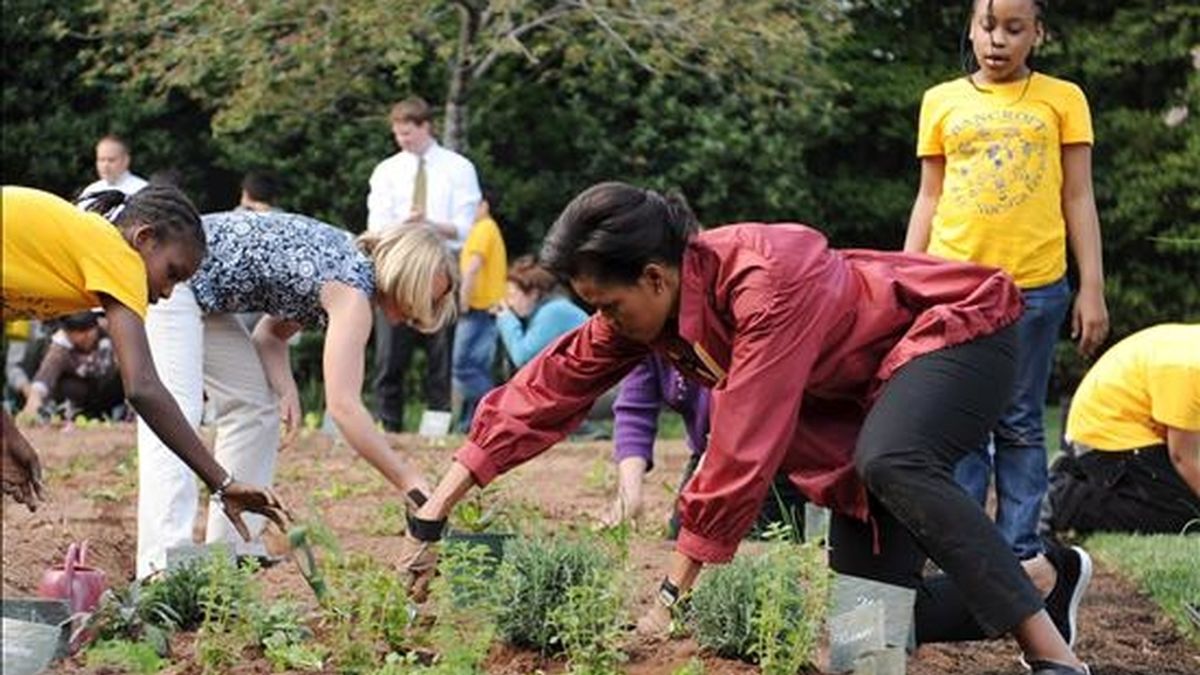 Michelle Obama ha recogido los frutos del huerto que plantó con un grupo de escolares. Foto: Atlas