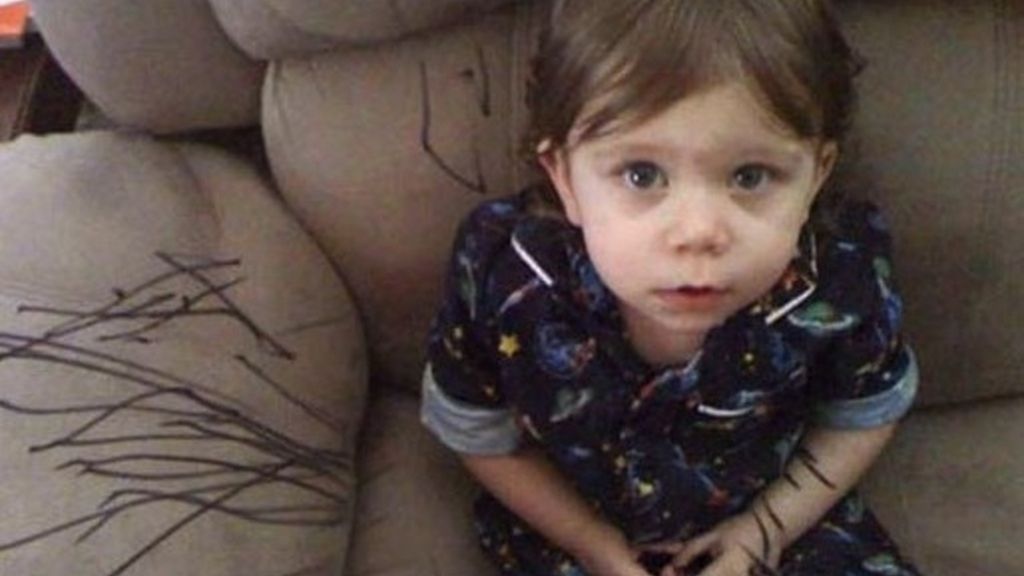 Maltratados por sus pequeños amos