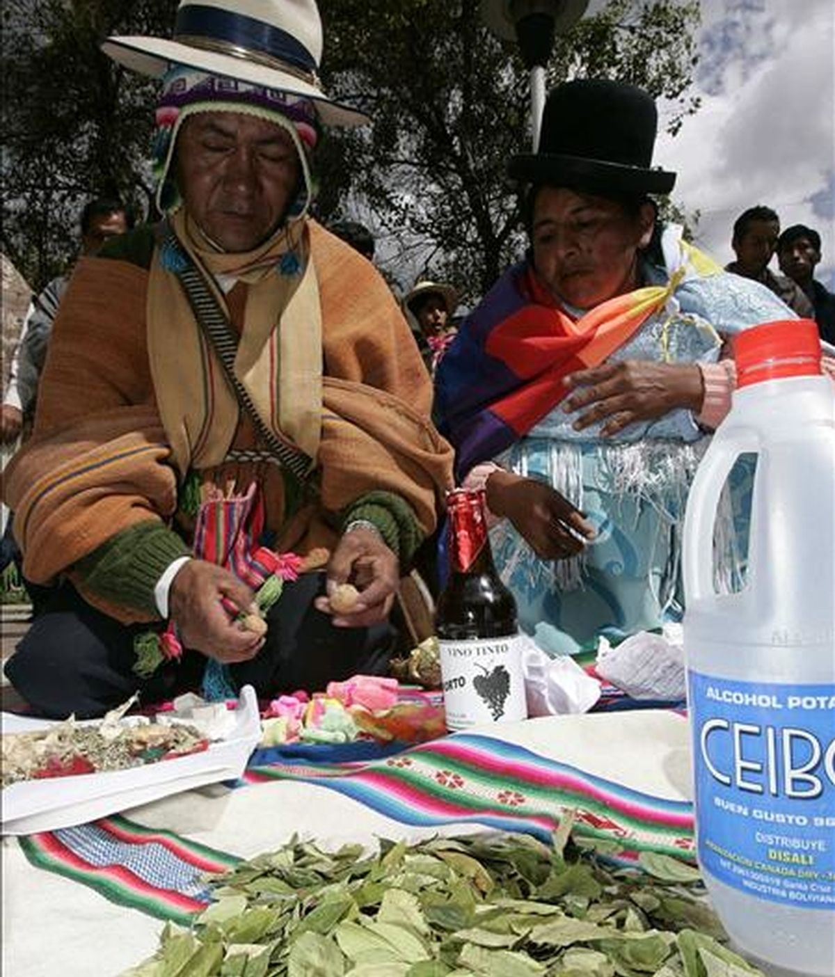 El Gobierno boliviano también considera necesario modificar la ley del Régimen de la Coca y Sustancias Controladas, a fin de evitar el incremento de las plantaciones en las zonas consideradas tradicionales. EFE/Archivo