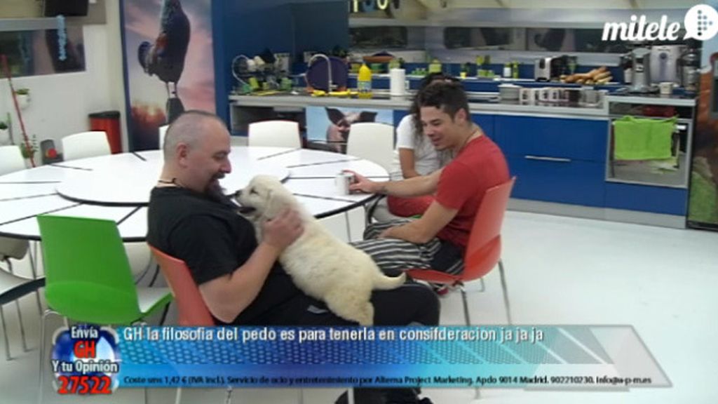 El cachorro 'Torso' empieza a ganarse el corazón de los concursantes de Gran Hermano