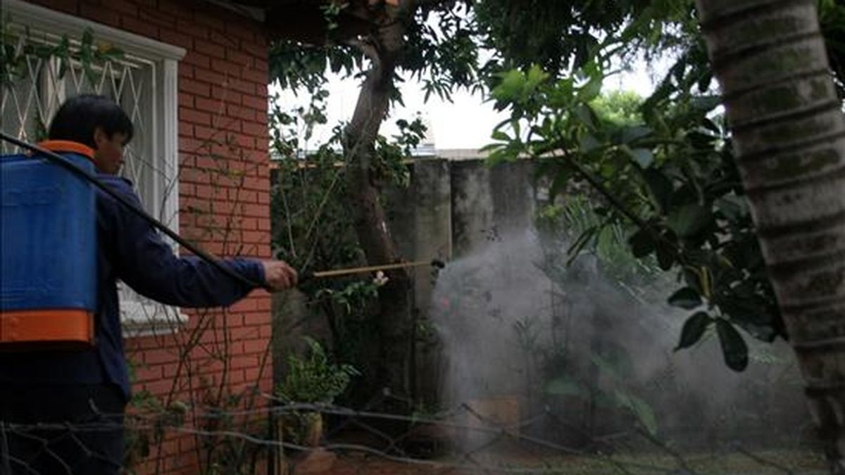 Las autoridades sanitarias uruguayas comenzaron a fumigar zonas fronterizas con Brasil y Argentina para atajar el avance del mosquito que transmite el dengue. EFE/Archivo