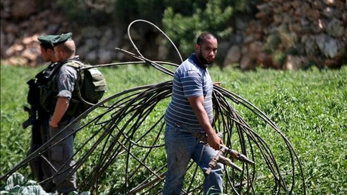 Trabajadores contratados por el ejército israelí (al fondo), retiran tuberías de agua de las tierras de granjeros palestinos cerca de la ciudad cisjordana de Hebrón. Según el Comité de Derechos Humanos de la ONU Israel "discrimina" a los palestinos. EFE/Archivo