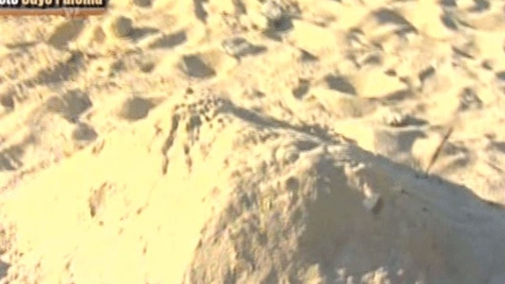 Todos a Playa Pelícano