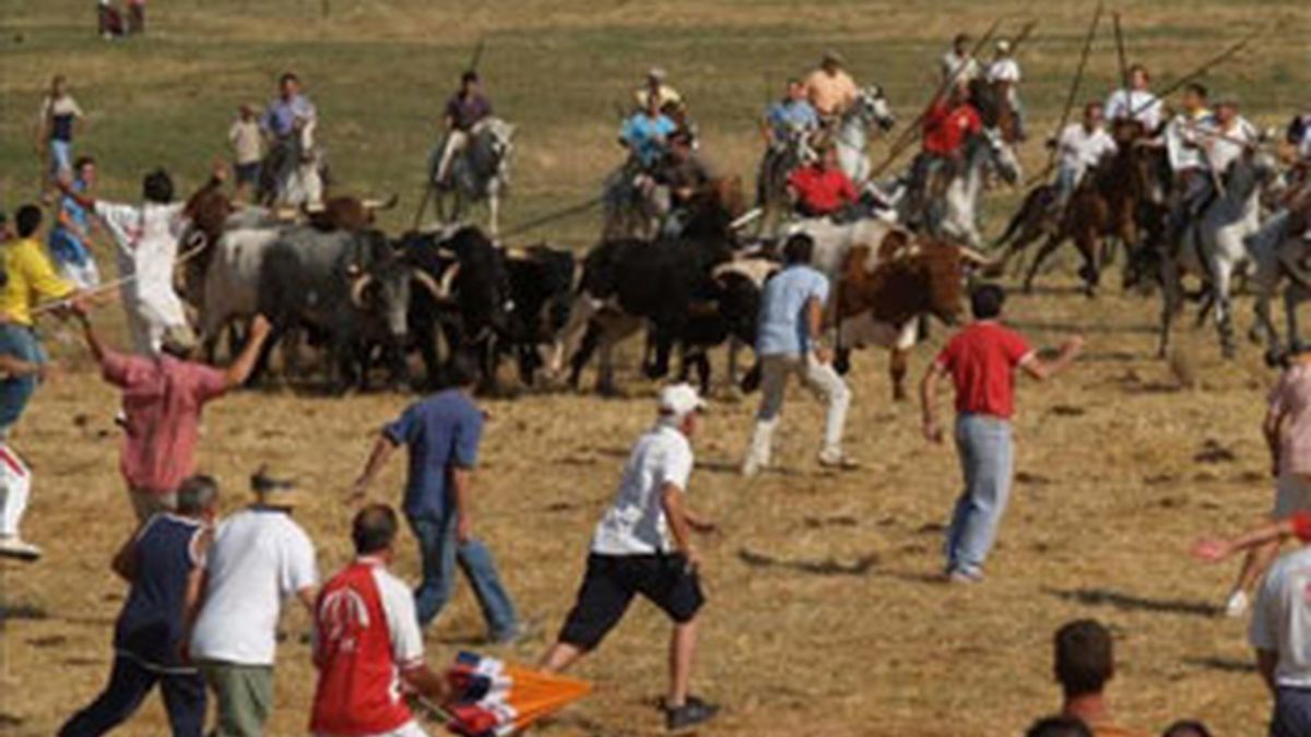 Celebración de Los Espantes, un encierro en un prado cercano al pueblo de Fuentesaúco, durante las fiestas patronales de La Visitación. EFE/Archivo