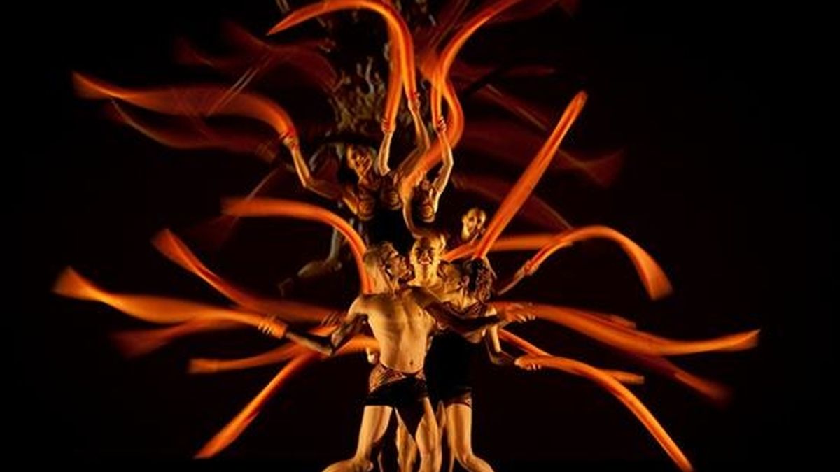 "Bothanica", de la compañía de danza estadounidense Momix, estará en la cartelera del Teatro Teletón del 16 al 28 de junio. EFE