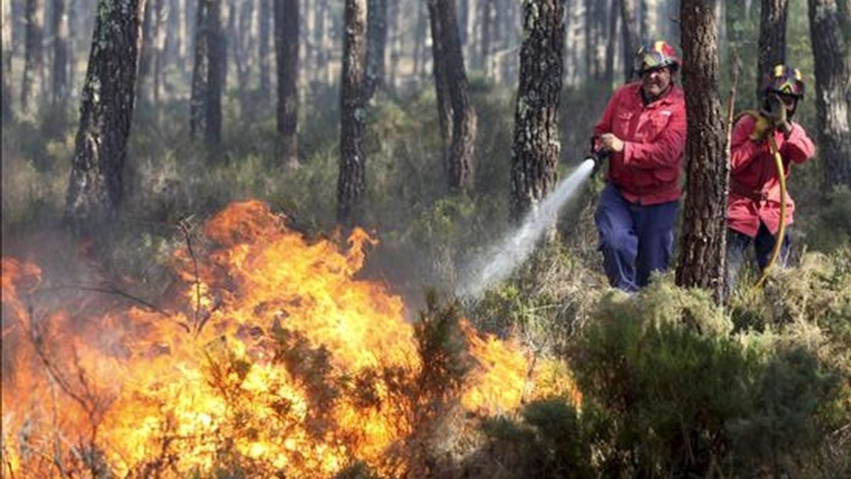Bomberos intentando extinguir un incendio en un bosque cerca de Pataias, en Portugal, este martes. EFE