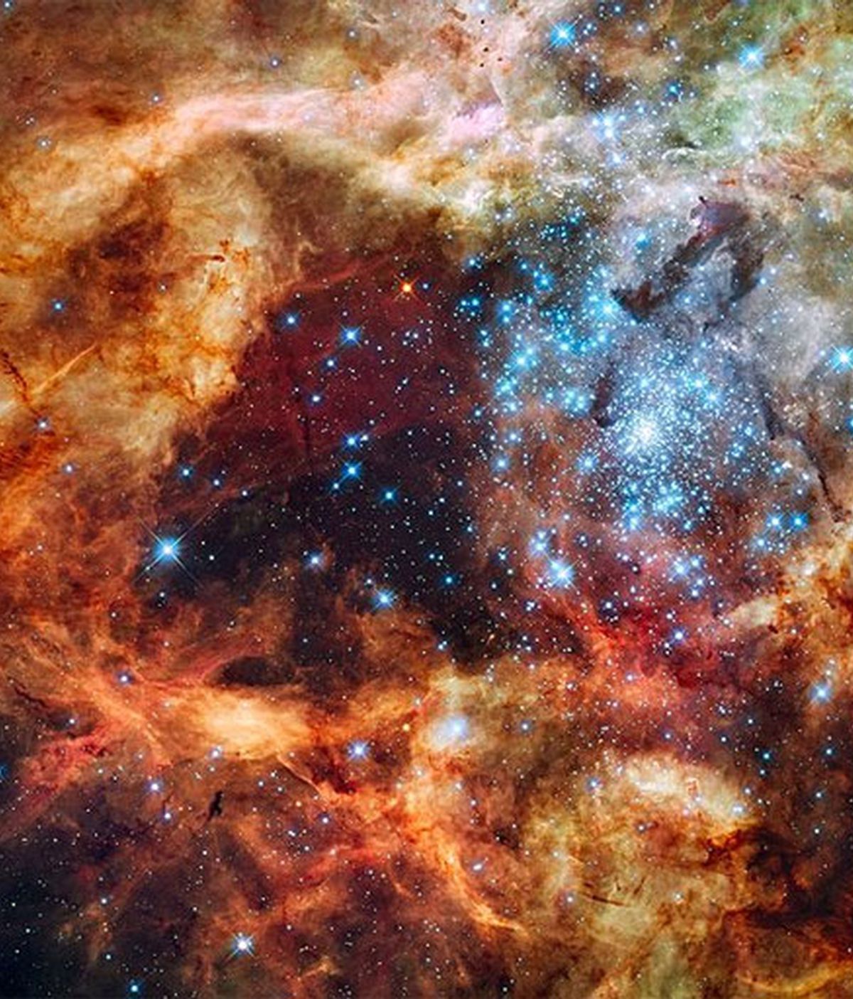 La estrella, denominada R136a, a unos 165.000 años luz de distancia, tiene una masa actual de 265 masas solares. Foto: Hubble Space Telescope.