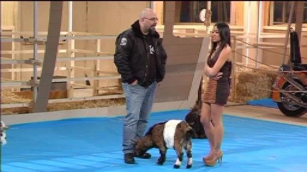Resumen 20/01/2012