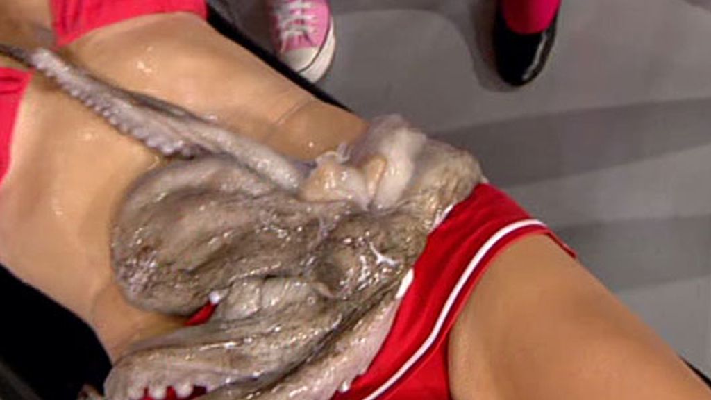 El pulpo de 'Resistiré, ¿vale?' elige a España como ganadora del Mundial