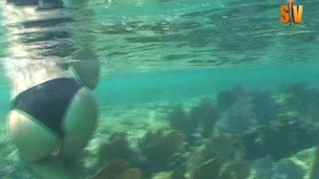 Las mejores fotos de Wilma González