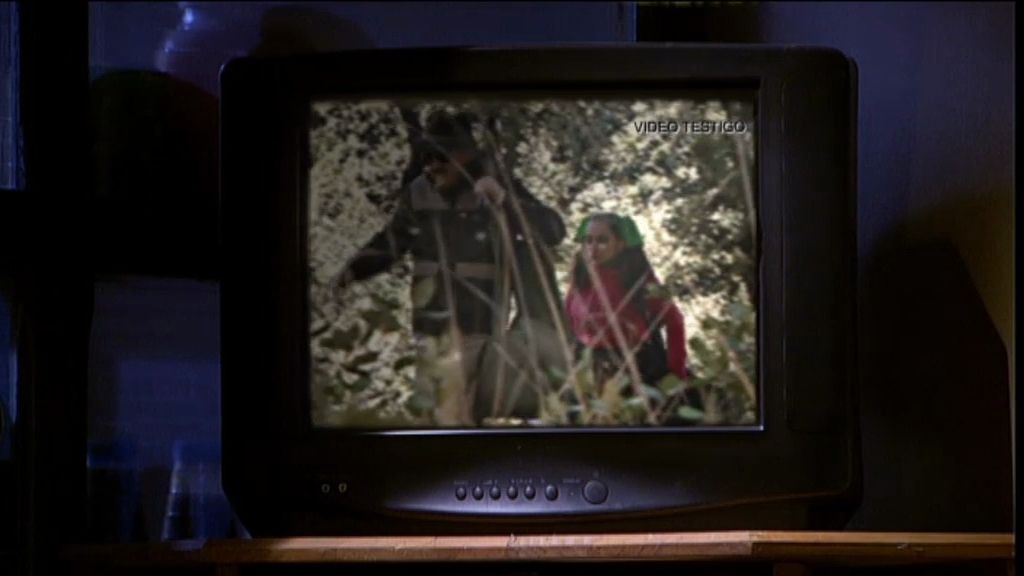 Tía y sobrino creían haber cazado un "tigre canijo"