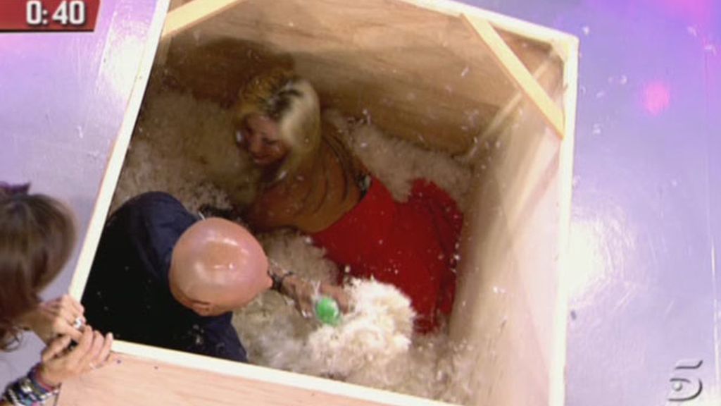 Los acorralados de 'Sálvame'