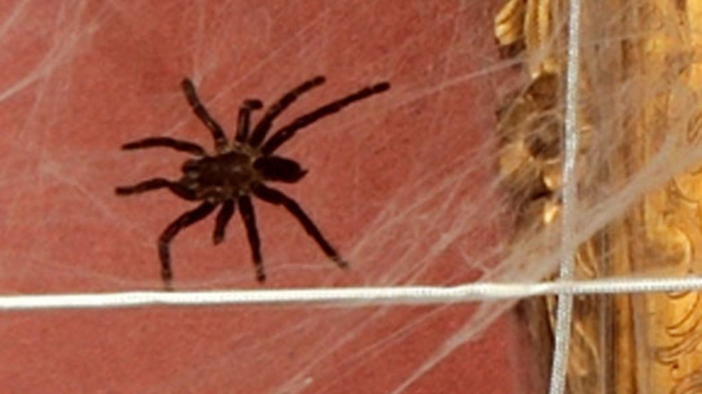 Enero: Sara Carbonero y Màxim Huerta reciben el gélido invierno