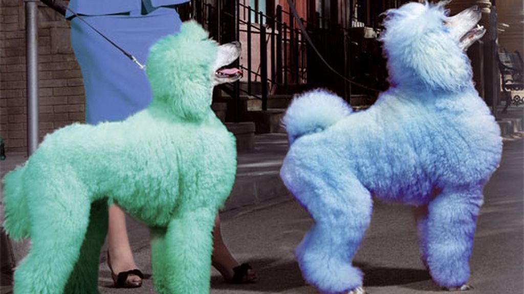 Febrero: Jaydy Mitchell despide el frío