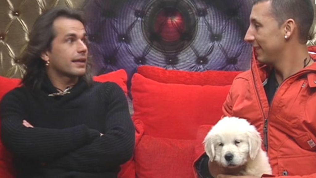 Es adiestrador de perros y campeón de taekwondo