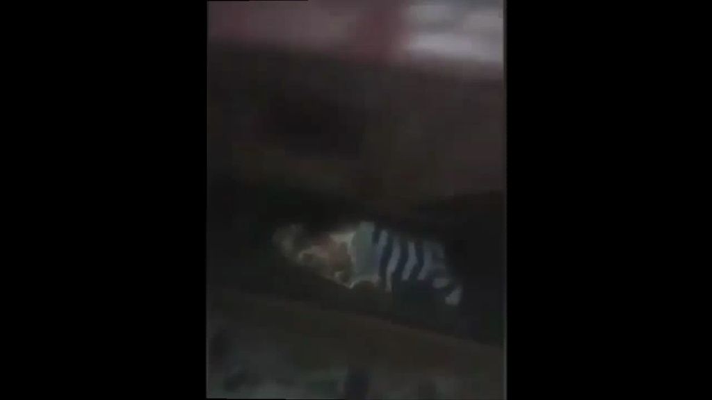 Una mujer sobrevive al atropello de un tren resguardándose entre los raíles