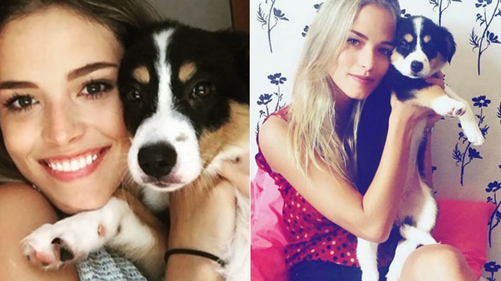 Su otro amor, su perrita Beyoncé, con cuenta propia en Instagram