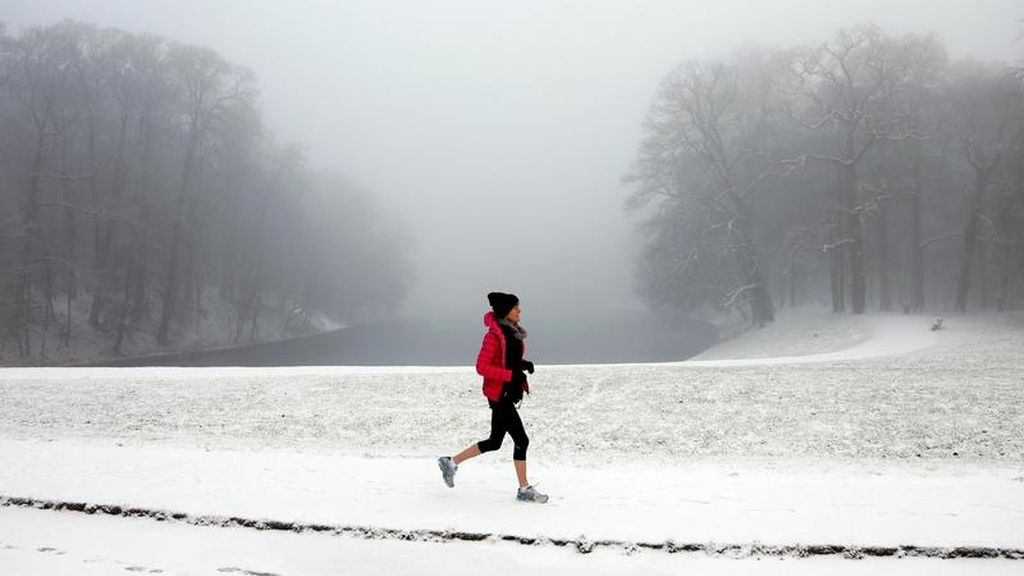 Nieve en Bruselas