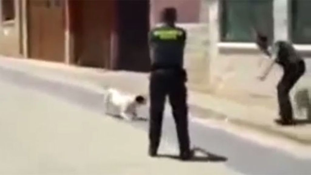 Un Guardia Civil mata de un disparo a un perro potencialmente peligroso en Burgos