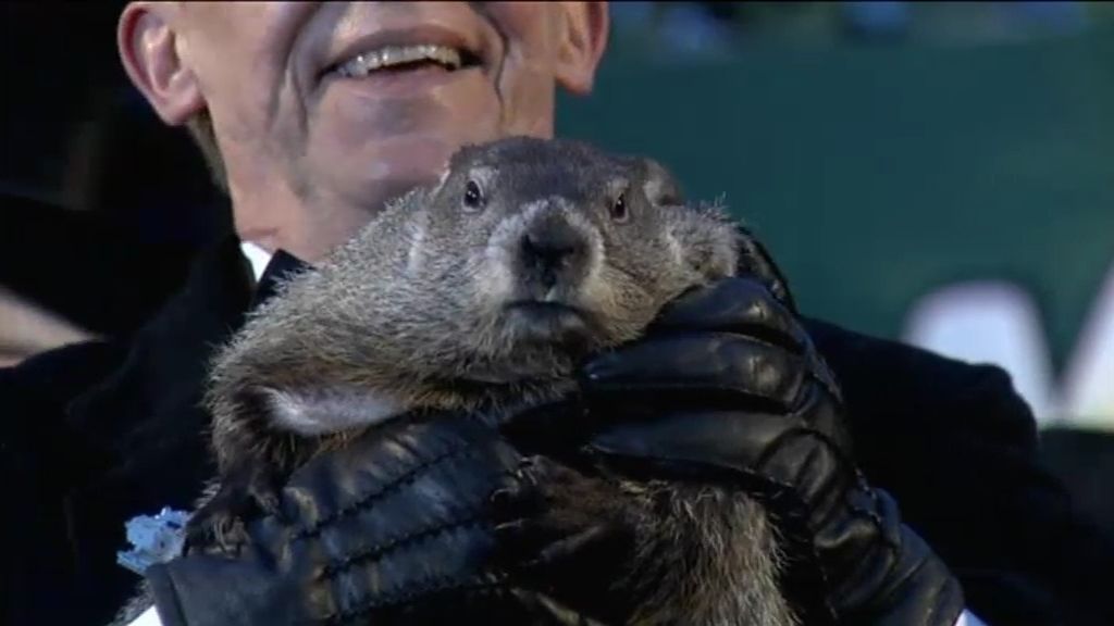 La marmota Phil pronostica que el invierno de 2015 durará seis semanas más
