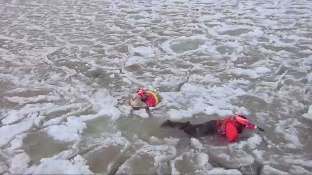 Un perro queda atrapado en un lago congelado y la Guardia Costera acude en su ayuda