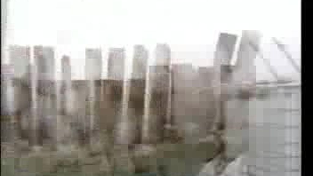 ¡Proteste Ya! ¿La peor alcaldesa?