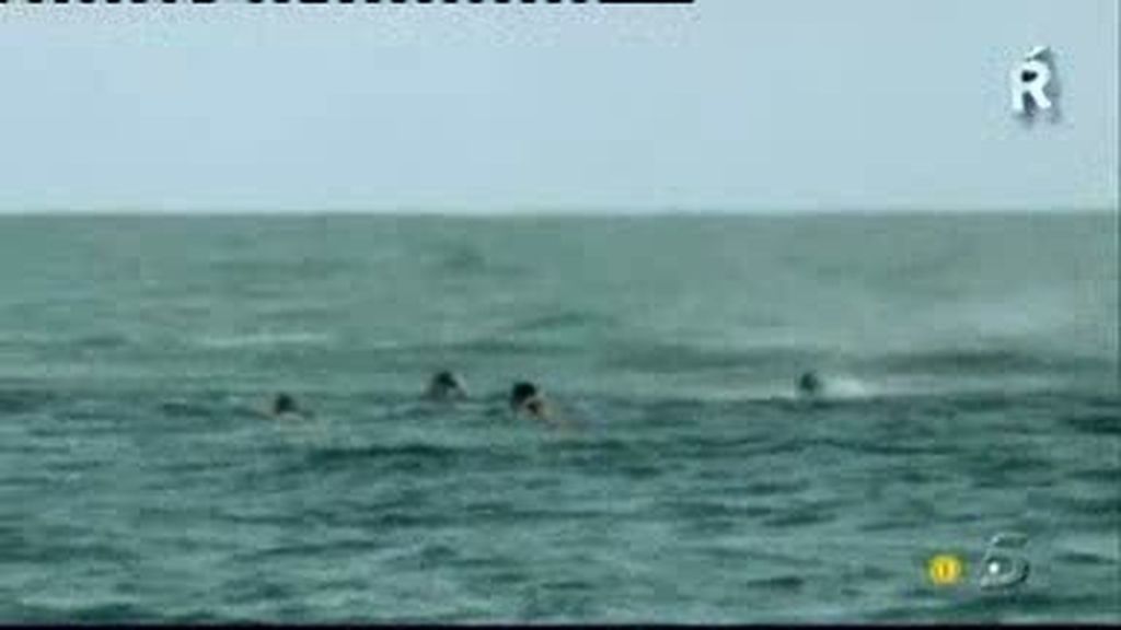 Lo mejor de Supervivientes 2010