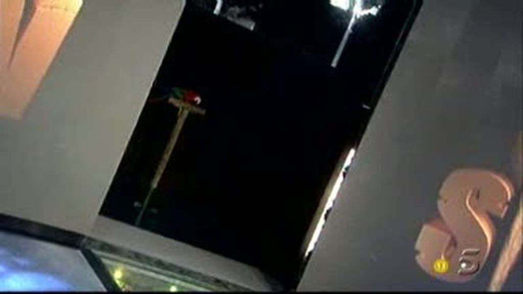 Nuestro adivino particular