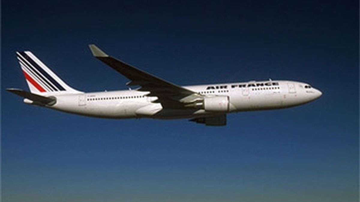 Imagen de un avión de Air France A330. Foto: Archivo.