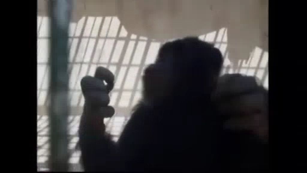 Un chimpancé fumador