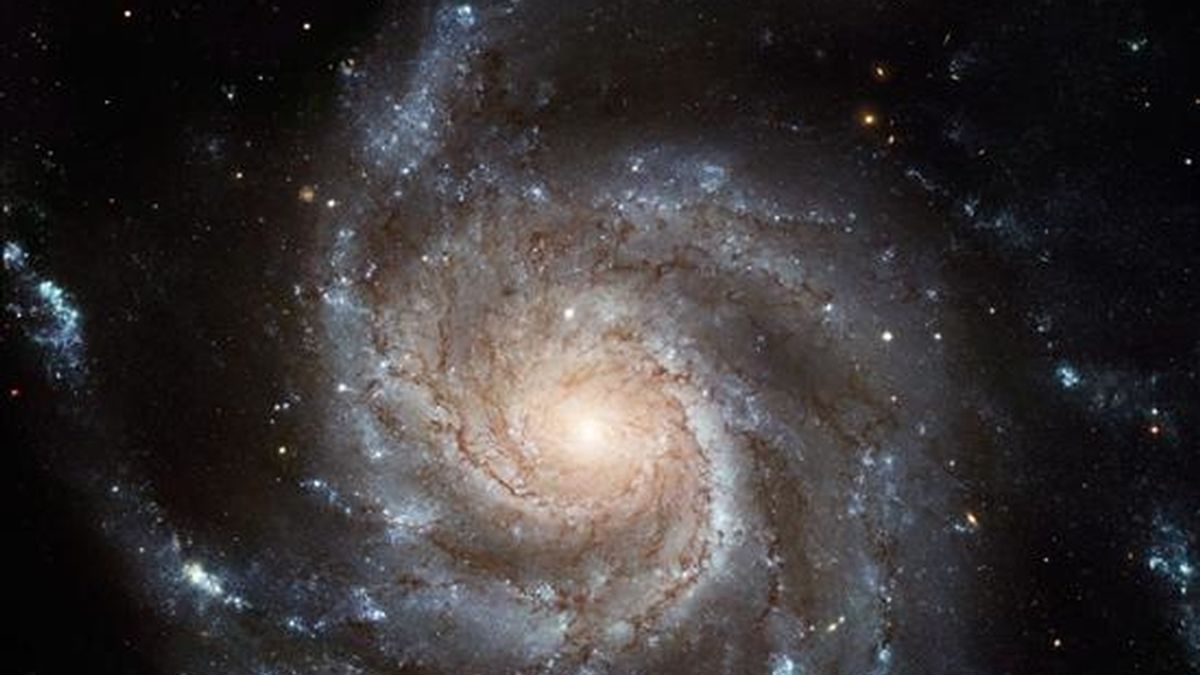 La NASA celebró hoy el Año de la Astronomía con la distribución de una composición fotográfica de una galaxia captada por sus tres observatorios en el espacio. EFE