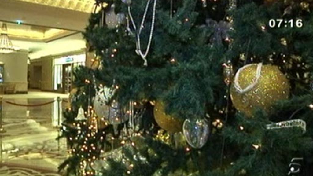 El árbol más caro del mundo El árbol más caro del mundo