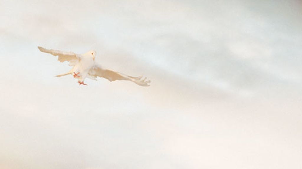 Junio: Superman da la bienvenida al verano con Belén Rodríguez