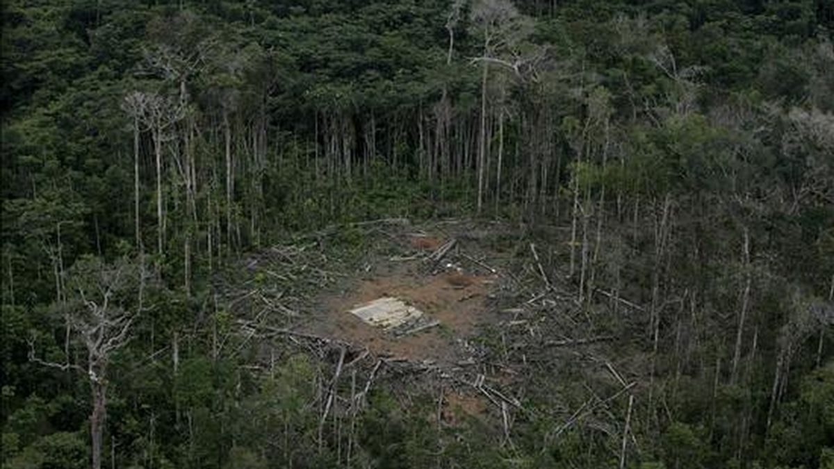 El 1 de marzo de 2008, el Ejército colombiano destruyó un campamento que las FARC habían instalado en territorio selvático de Ecuador, específicamente en el enclave de Angostura. EFE/Archivo
