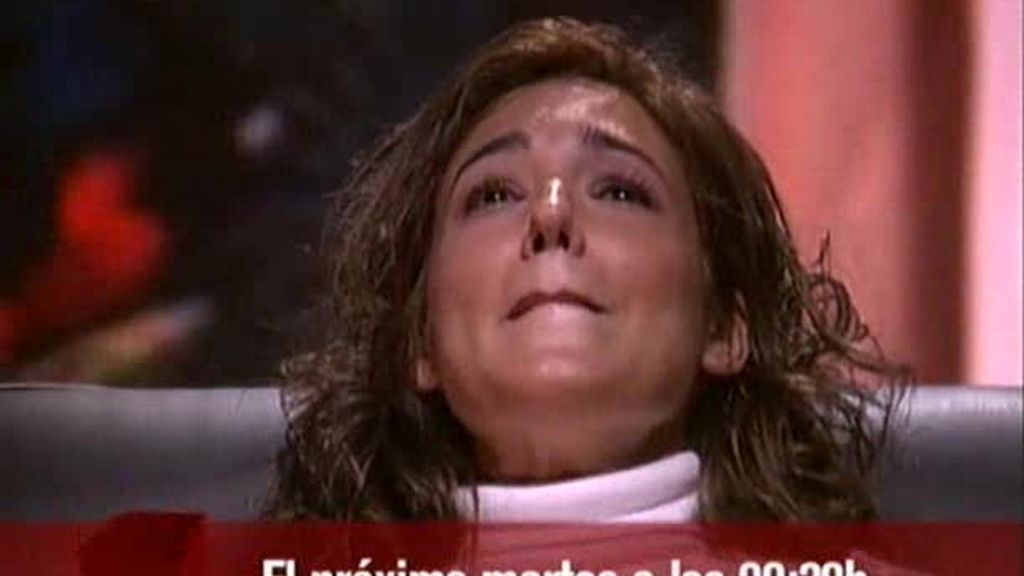 Horror a los petardos Horror a los petardos