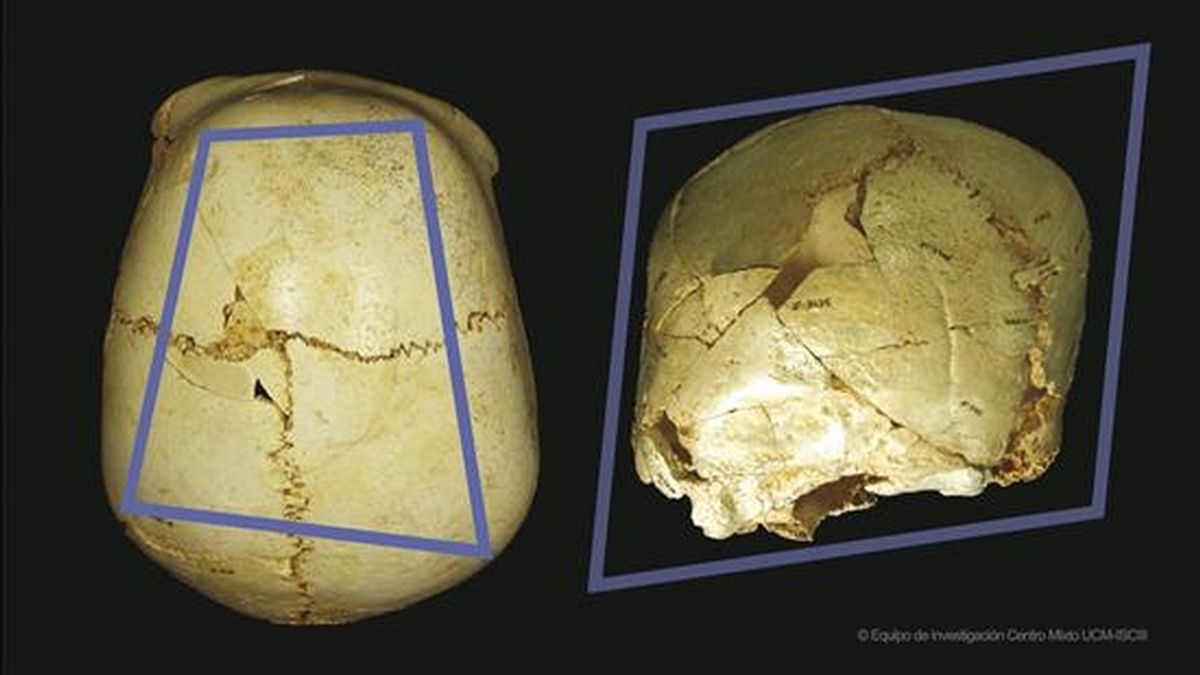 En la imagen, el cráneo encontrado en Atapuerca. EFE