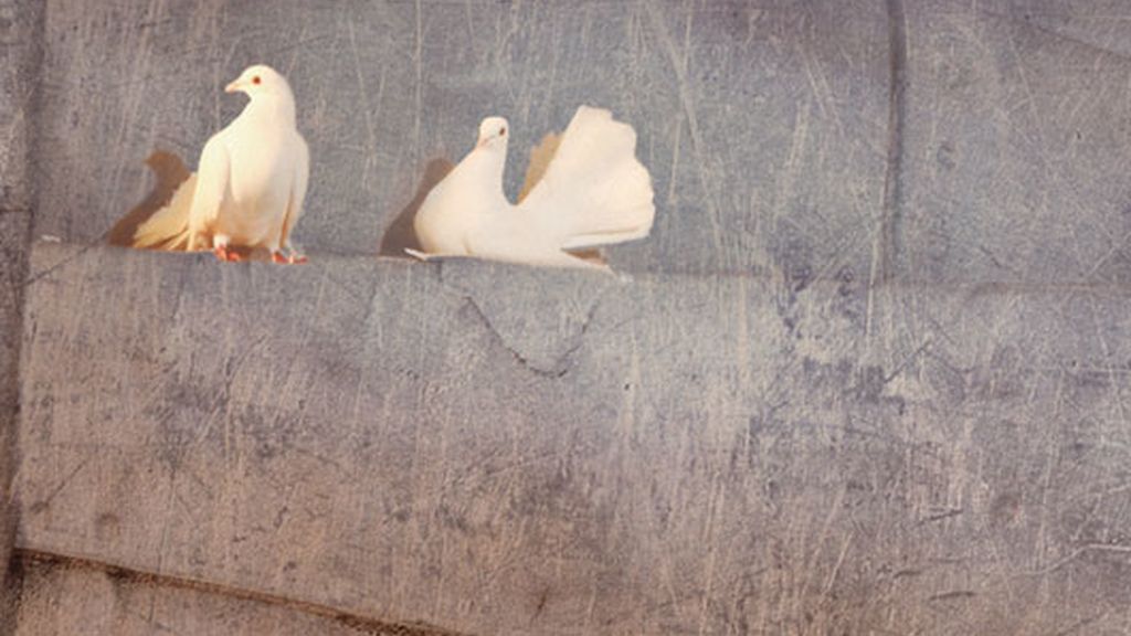 Junio: Superman da la bienvenida al verano con Belén Rodríguez