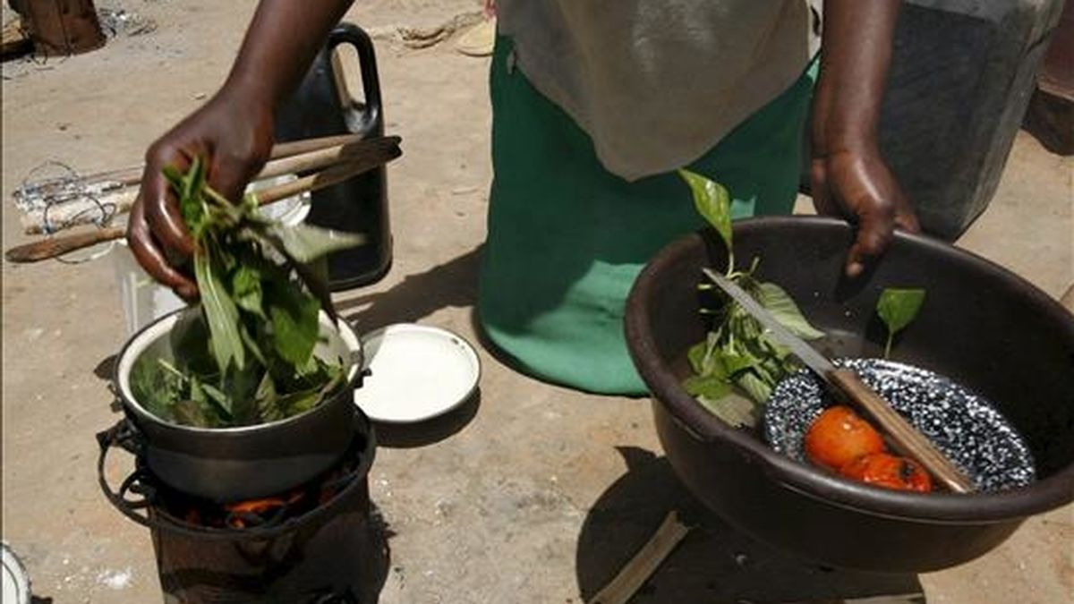 África podría ser autosuficiente en la producción de alimentos dentro de una generación, según un estudio del profesor Calestous Juma, de la Universidad de Harvard, presentado hoy en la Cumbre de Jefes de Estado de la Comunidad de África Oriental sobre Cambio Climático y Seguridad Alimentaria. EFE/Archivo África podría ser autosuficiente en la producción de alimentos dentro de una generación, según un estudio del profesor Calestous Juma, de la Universidad de Harvard, presentado hoy en la Cumbre de Jefes de Estado de la Comunidad de África Oriental sobre Cambio Climático y Seguridad Alimentaria. EFE/Archivo